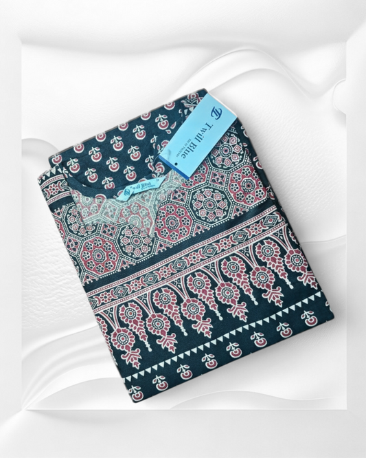 Kalamkari Kurti TW 94